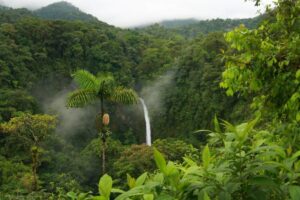 Cloud Forest La Fortuna