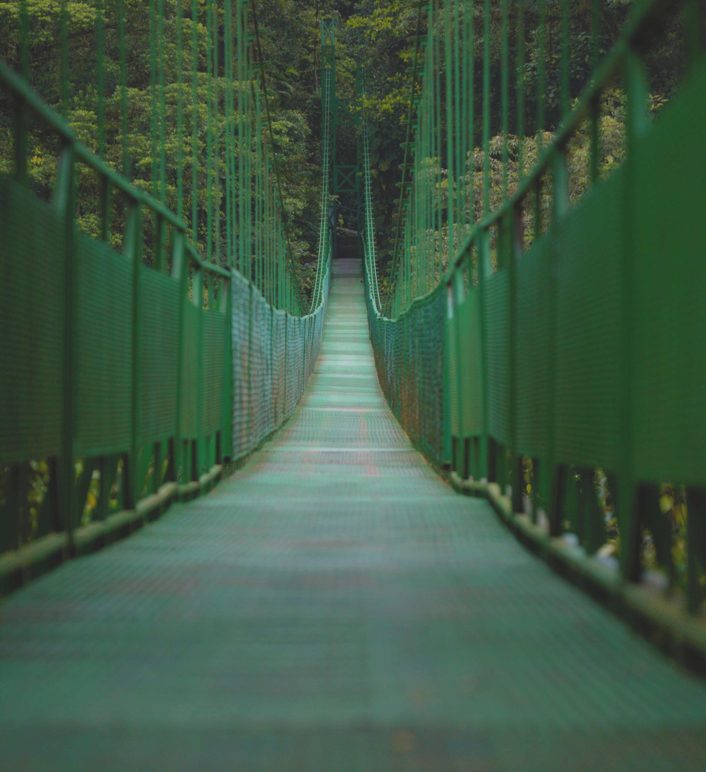 Monteverde Hanging Bridges & Zipline