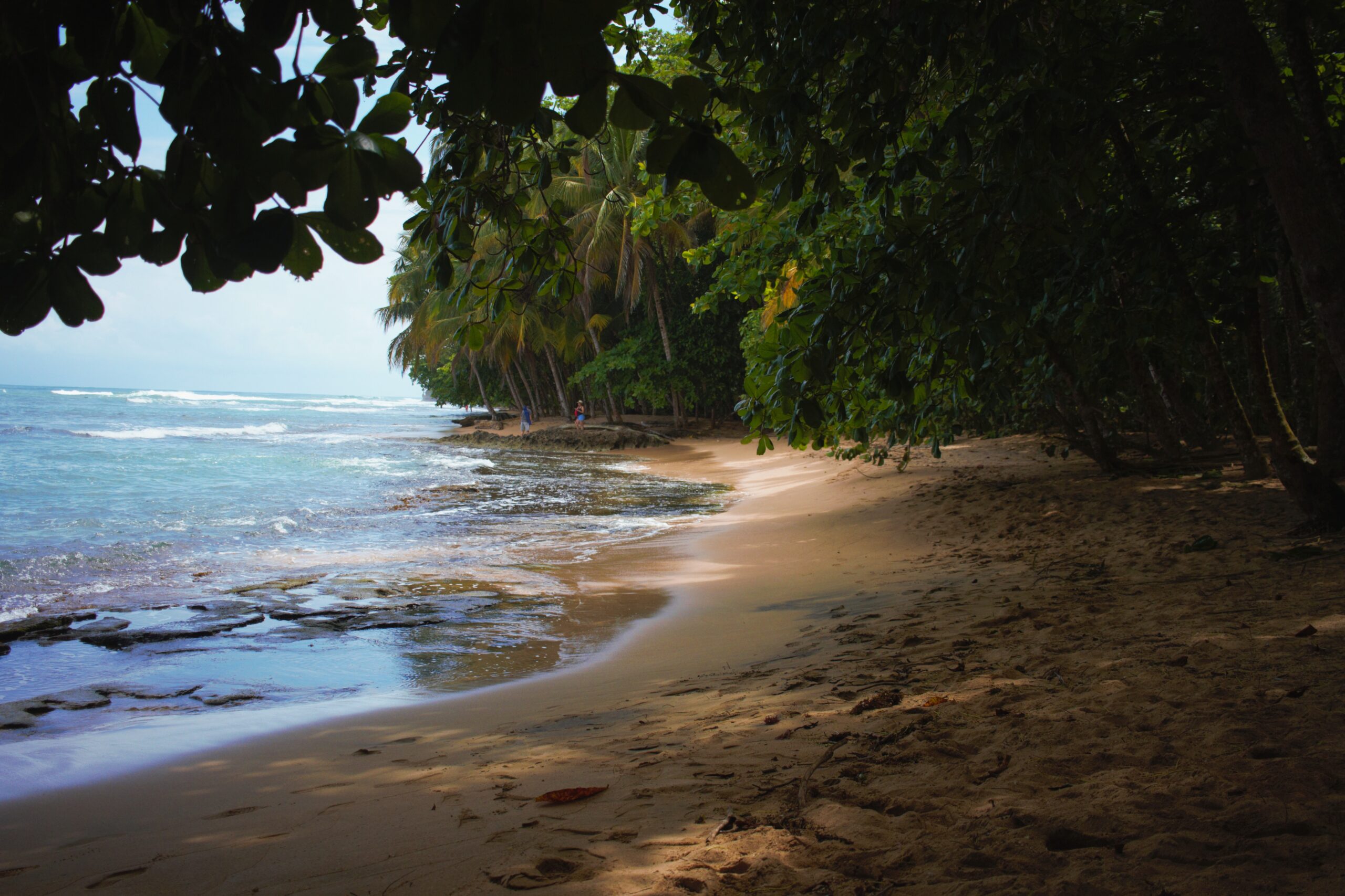 Gandoca - Manzanillo Wildlife Refugee