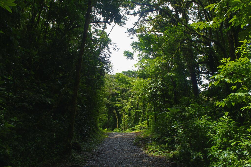 Costa Rica's Hidden Treasures: Exploring the Rich Tapestry of Indigenous Cultures