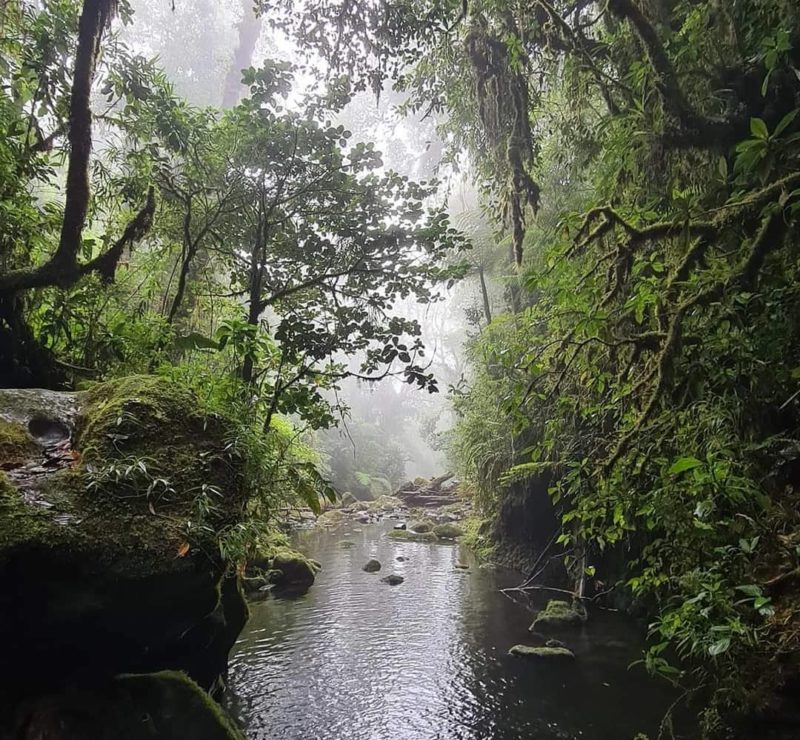 Cerro Dantas Wildlife Refugee