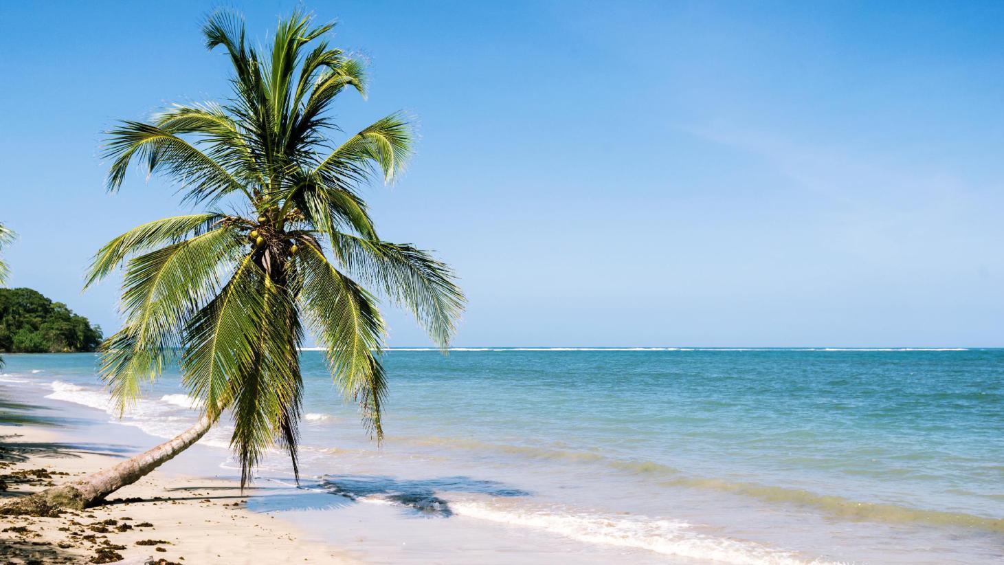 Cahuita National Park