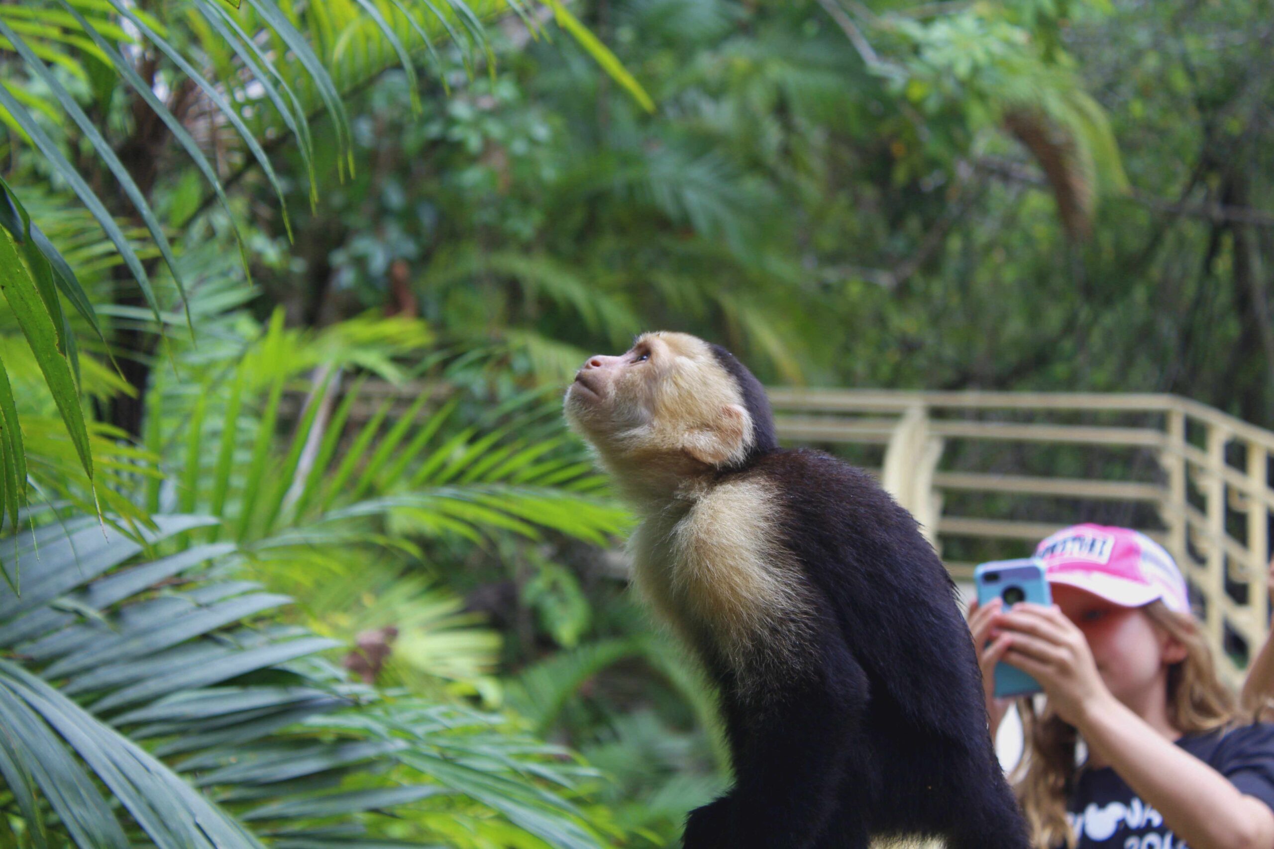 Manuel Antonio National Park